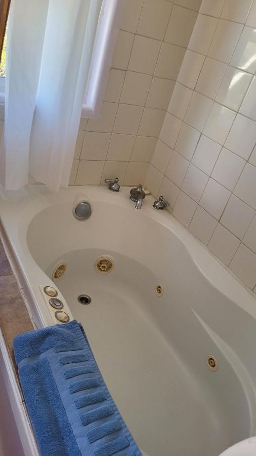 Angel Cottage With A Sauna Or The Cozy With A Jacuzzi Tub, Both Are Studios With A View Of Mount Shasta Exterior foto